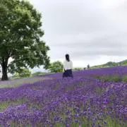 yukoの画像