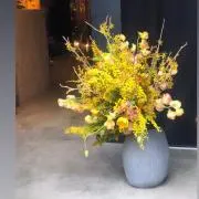 amyの画像