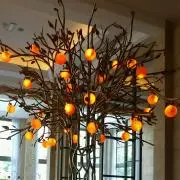 プルメリアの画像