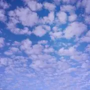 ぐりりんの画像