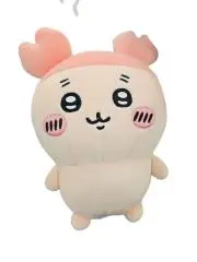きちぼの画像