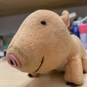 Image of うりぼう
