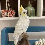 ゆっき
