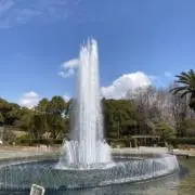 ひらめ13の画像