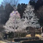 Reemam★プロフ確認お願いします‼︎の画像