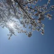 salahの画像