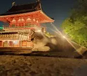 ポピーの画像
