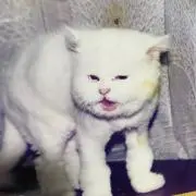 さとさんの画像