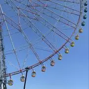 くまぷーの画像