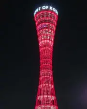 ticketの画像