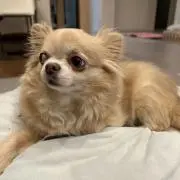 ゆかりの画像
