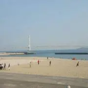 ワンコさん