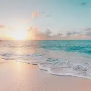 とぐの画像