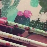 ナナ☆の画像