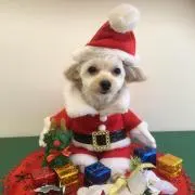 さざ波工房