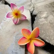 * Aloha girl *