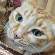 ❈♡Naru ♡❈プロフ説明欄必読！の画像