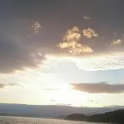 まるもちの画像