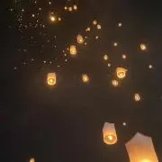 HANAMIの画像