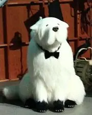 soraの画像