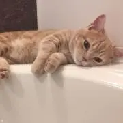 miro♡の画像