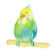 a.