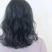 ぱぴこの画像