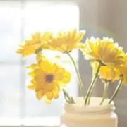 み