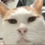 【即購入大歓迎！】ももこの画像
