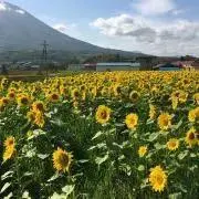 na◎の画像