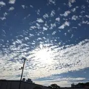 ブルーサイダー