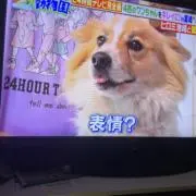 豚骨ラーメンチャーシューの画像