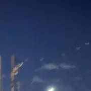 にゅの画像