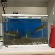 ゆうあ♪(´ε｀ )