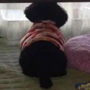 らく