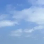もなプロフ必読
