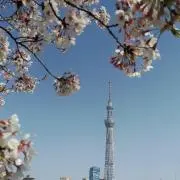 エブリデイアイライク FLANNEL クルーネック ニット カシミヤ グレー