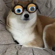 ちの画像
