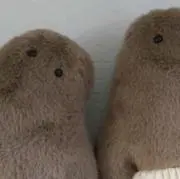 りえの画像