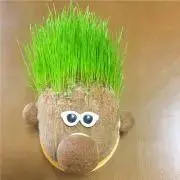 はれるい☆の画像