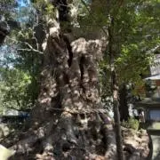 HaReLuNaの画像