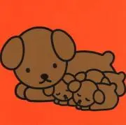 ブルーナ【おまとめ買い割引きします】の画像