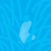 ふふこの画像