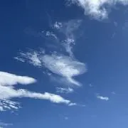 okiの画像