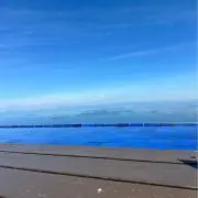 ごまだんごの画像