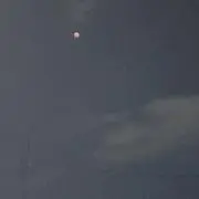 林檎