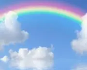 ひまわり