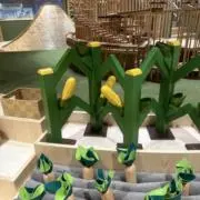 あさのの画像