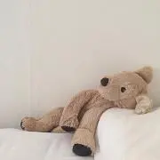 ソルトの画像