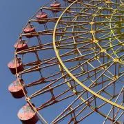 わんわん丸の画像